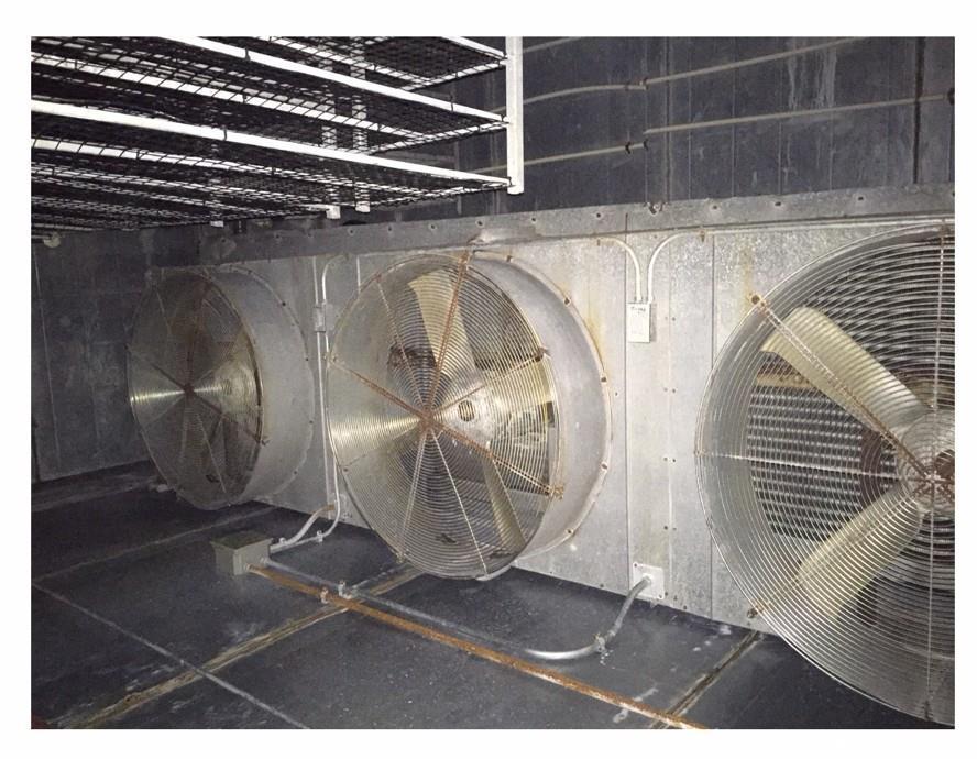 Used Laitrum Shrimp Peeling Line.